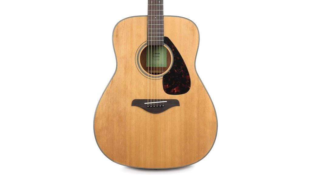 beginner acoustic guitar model