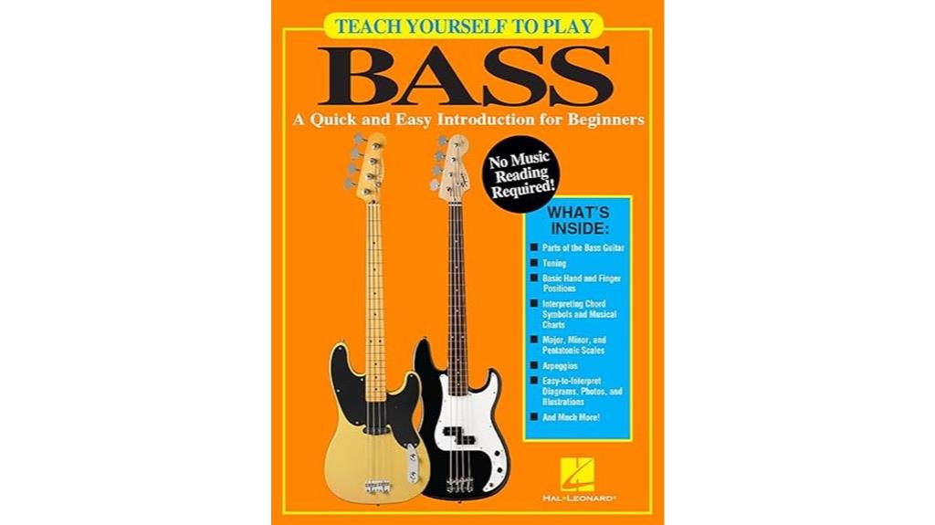 beginner bass guitar lessons