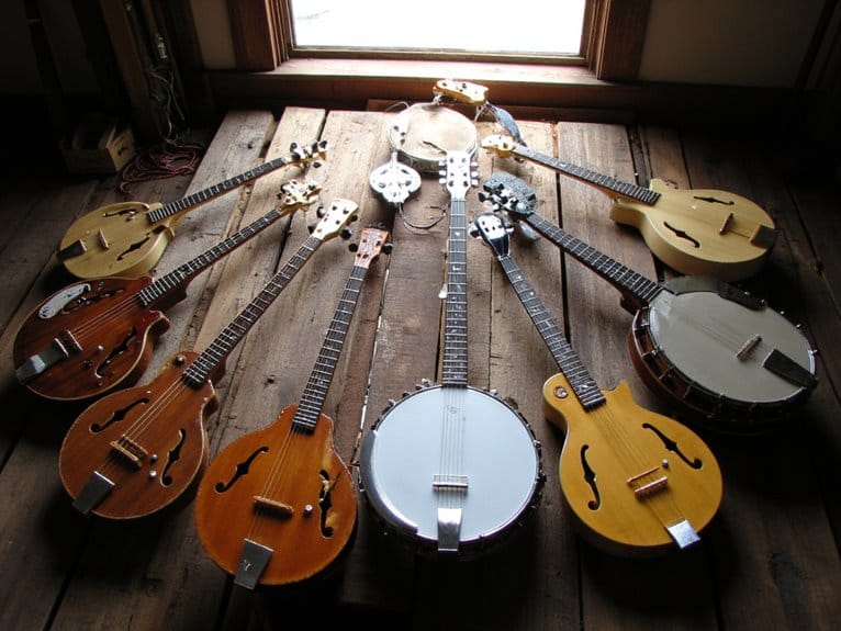 best banjos for beginners