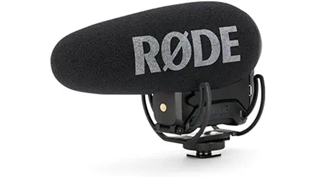camera mount shotgun microphone