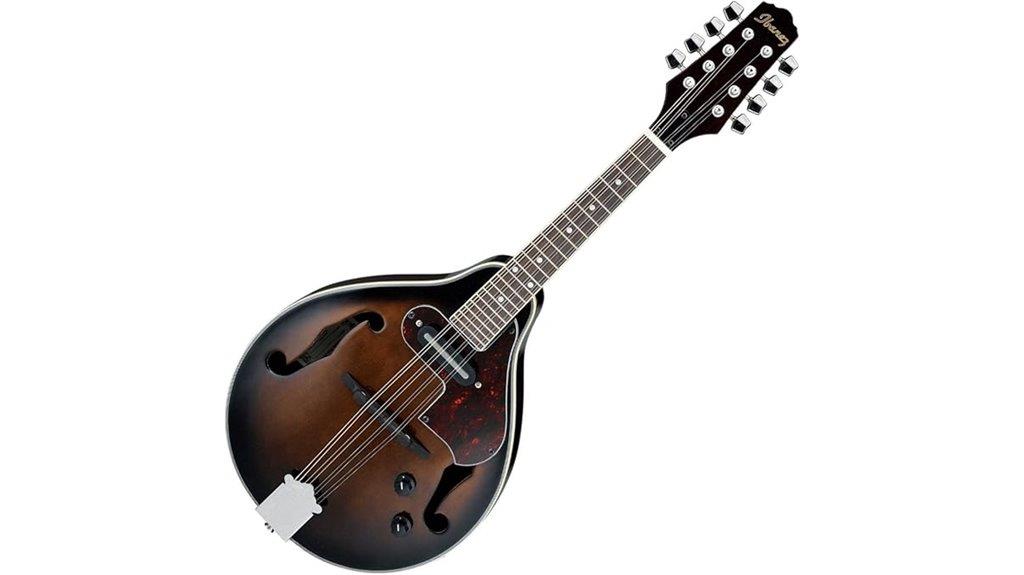 dark violin sunburst mandolin