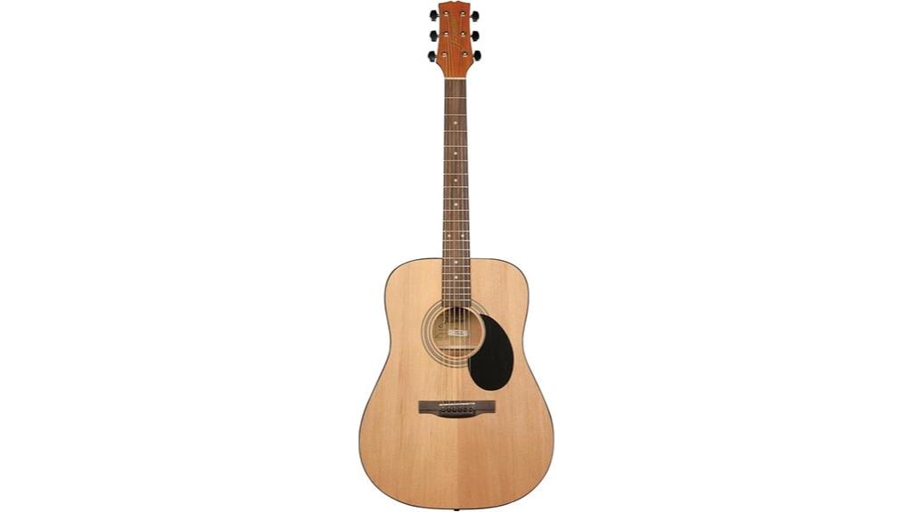 dreadnought acoustic guitar natural