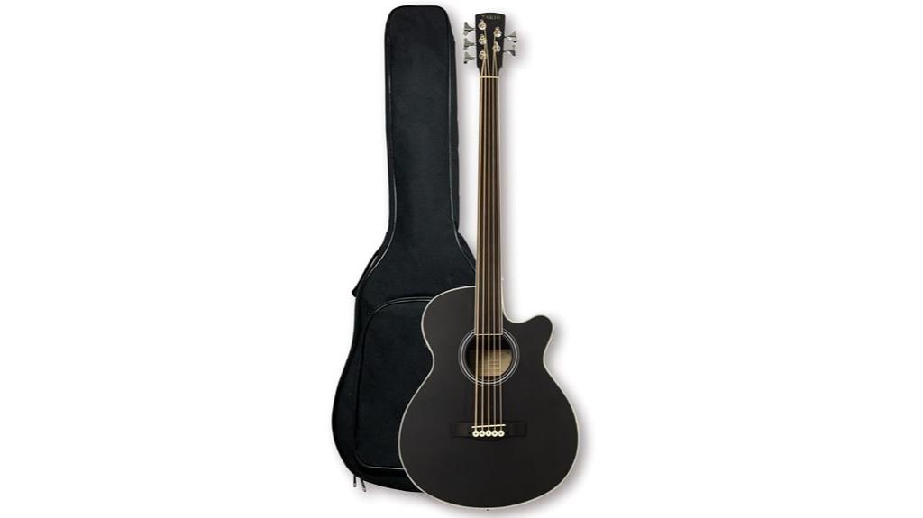 electric acoustic bass guitar
