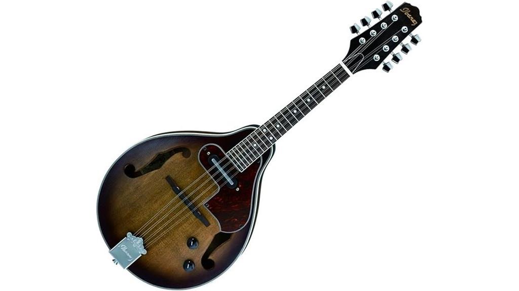 electric acoustic mandolin model