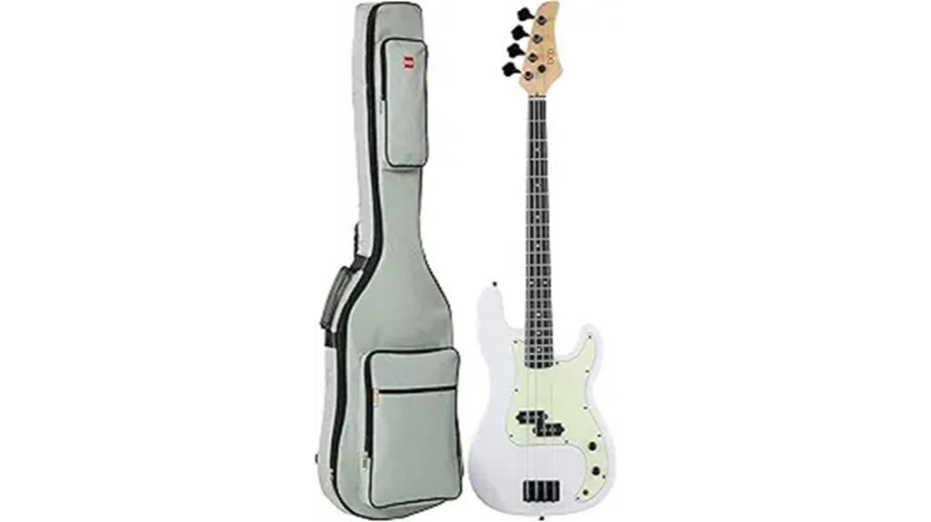 electric bass guitar set