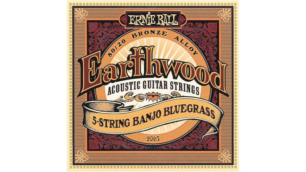 ernie ball banjo strings