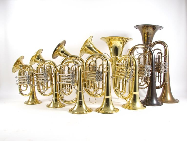 euphonium reviews for 2025