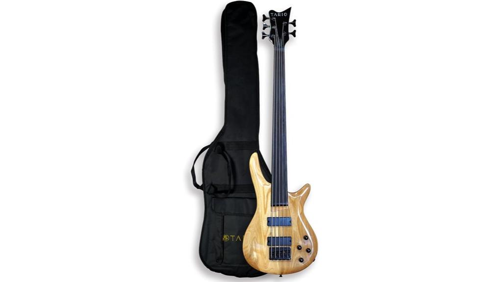 fretless 5 string bass guitar
