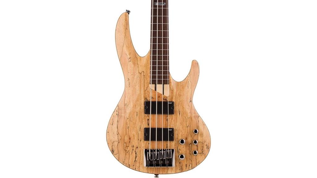 fretless bass guitar model