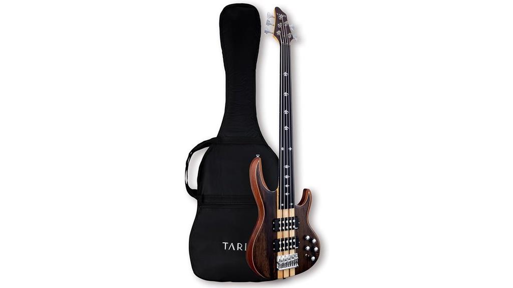 fretless five string electric bass