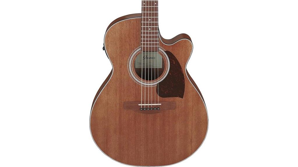 ibanez acoustic electric guitar