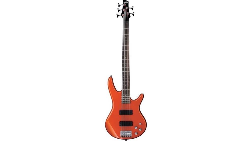 ibanez gio 5 string bass