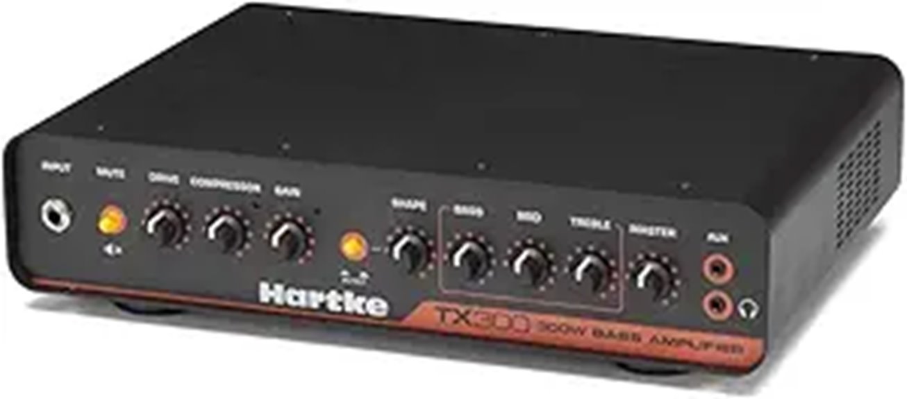 lightweight 300 watt bass amplifier
