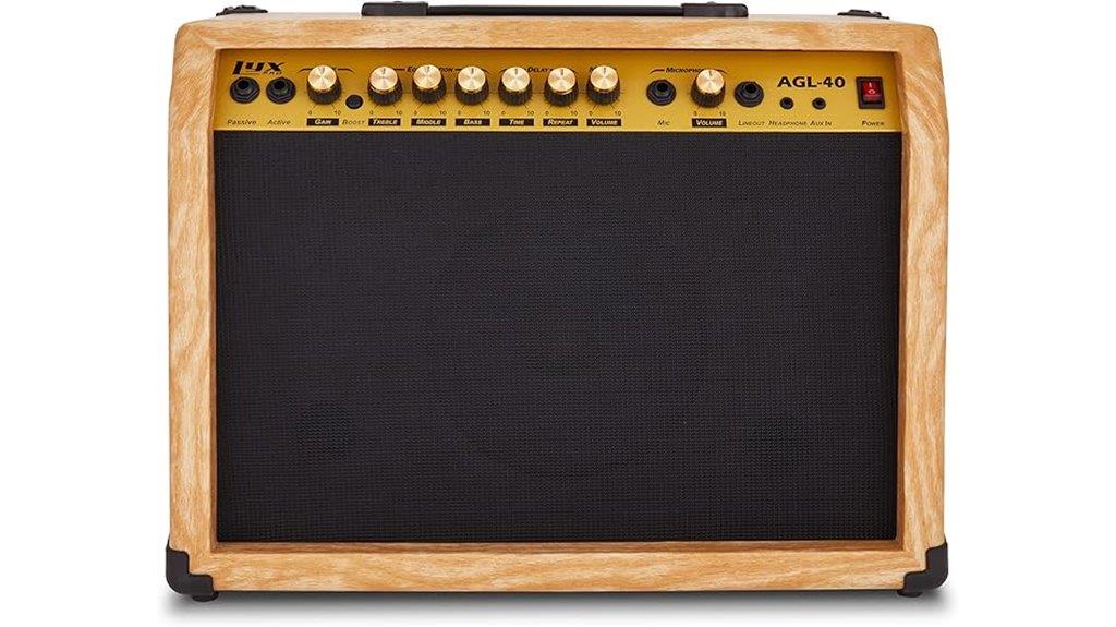 lyxpro 40 watt amplifier