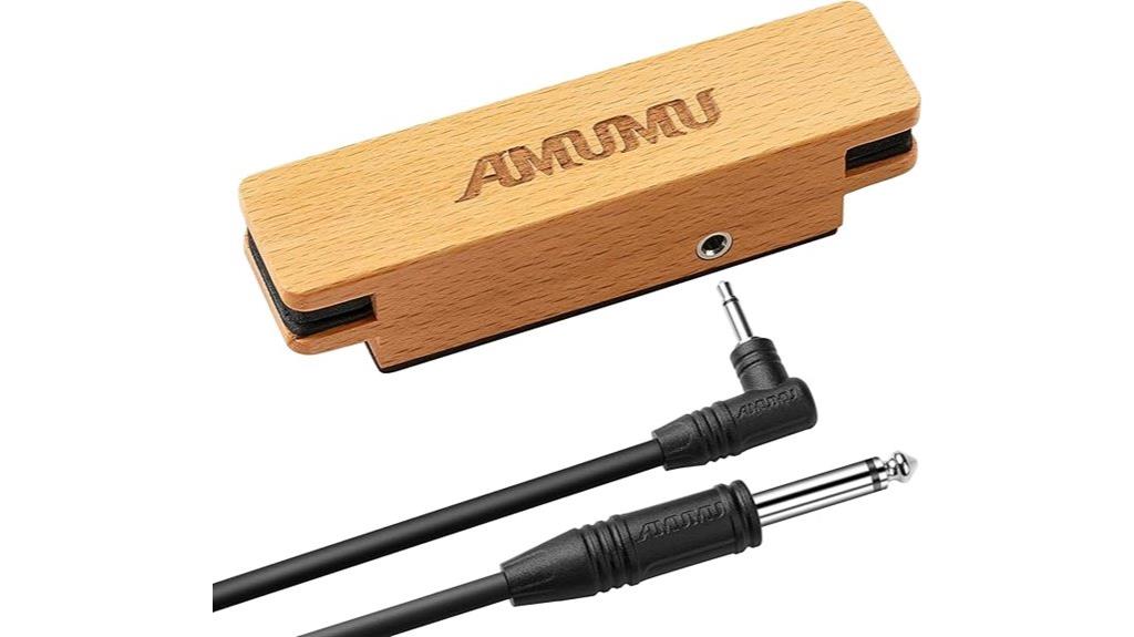 magnetic pickup for acoustics