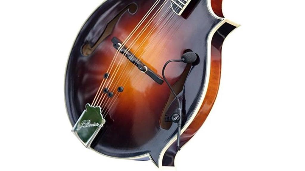 mandolin pickup with flexibility