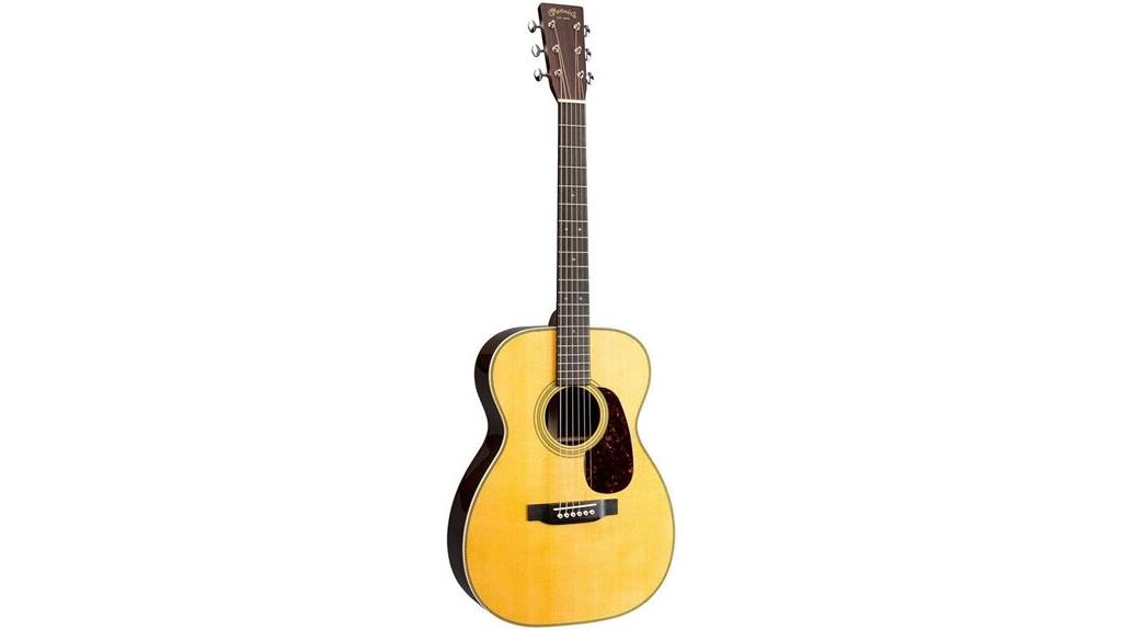 martin acoustic guitar case