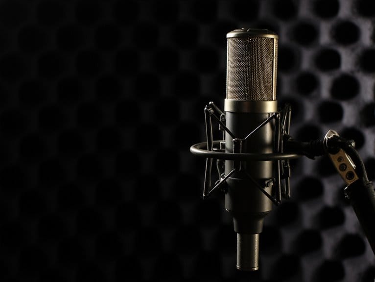 microphone performance characteristics explained