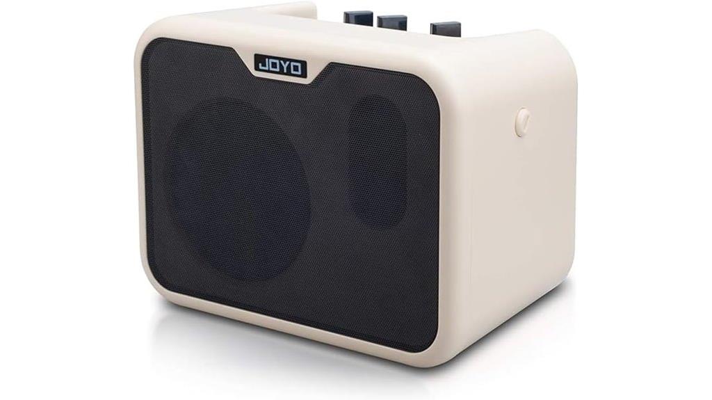 mini bass amplifier 10w