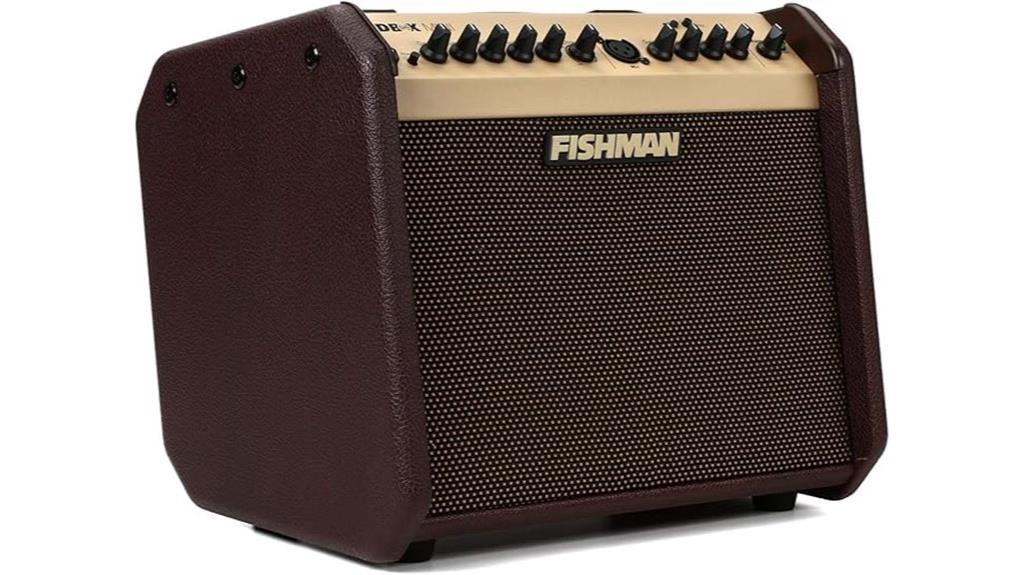 portable acoustic combo amplifier