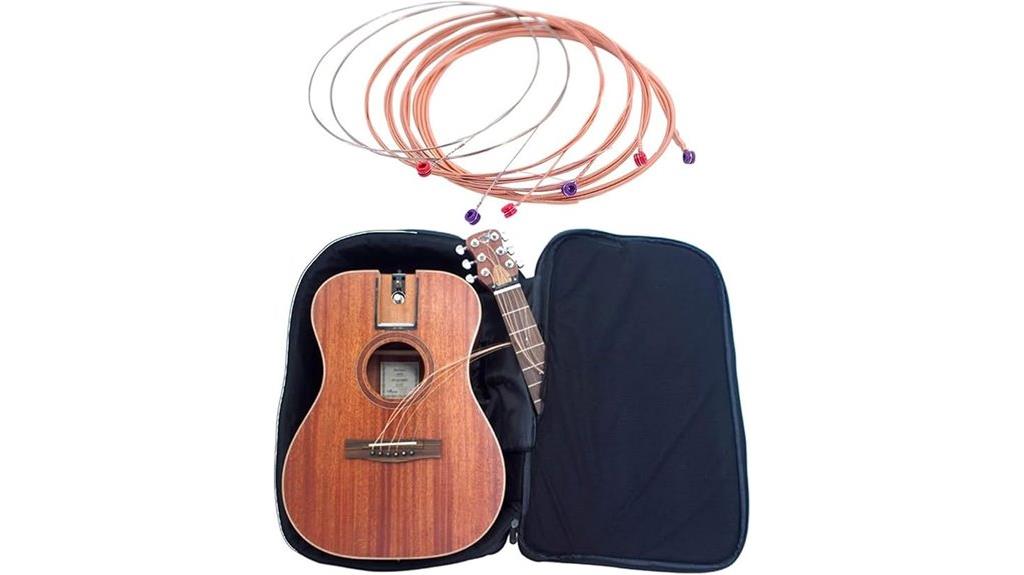 portable acoustic electric guitar
