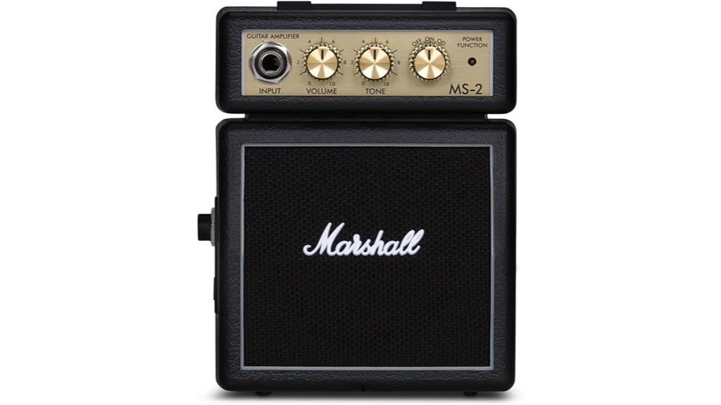 portable battery powered amplifier