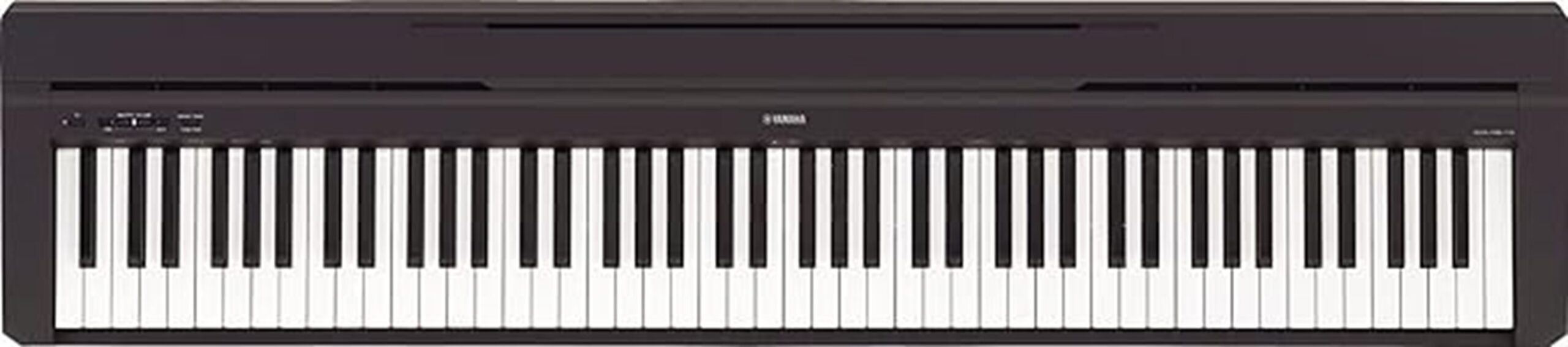 portable weighted digital piano