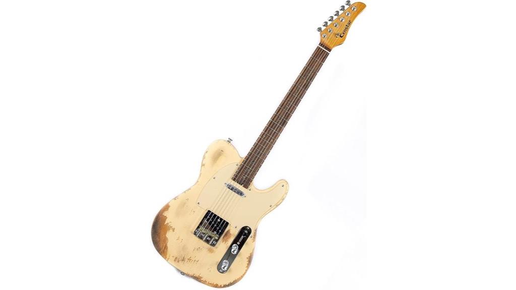 professional electric guitar model