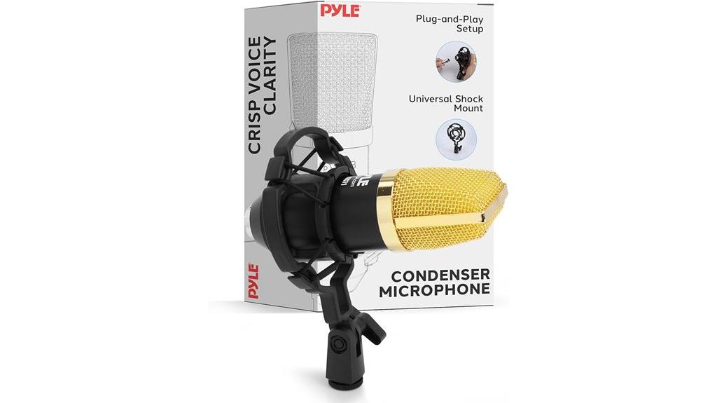 professional microphone recording kit