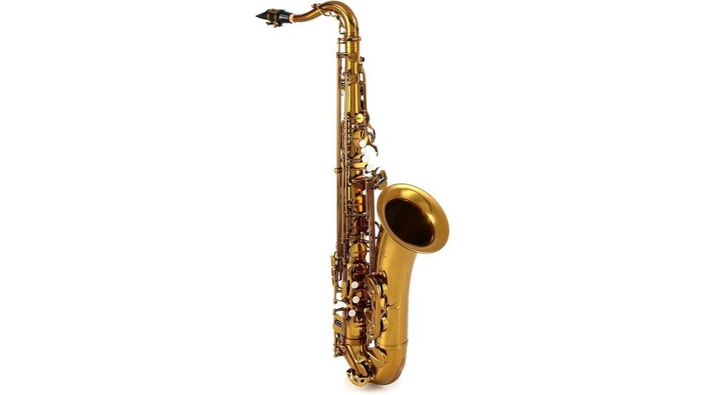 professional tenor saxophone kit