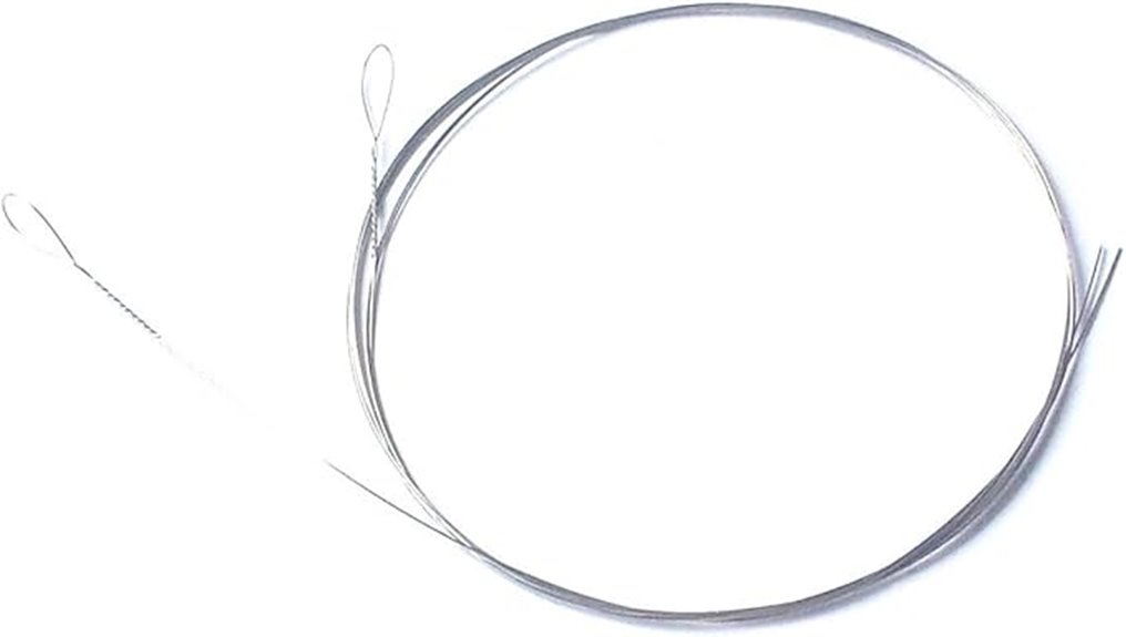single banjo strings set