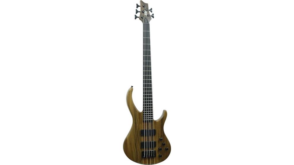 solid body electric bass guitar