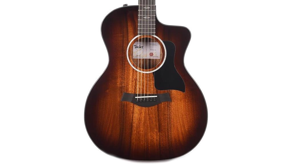 taylor acoustic electric guitar