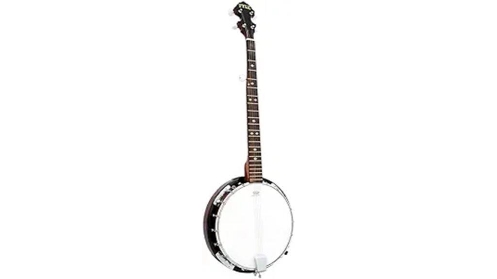 tunable 5 string banjo