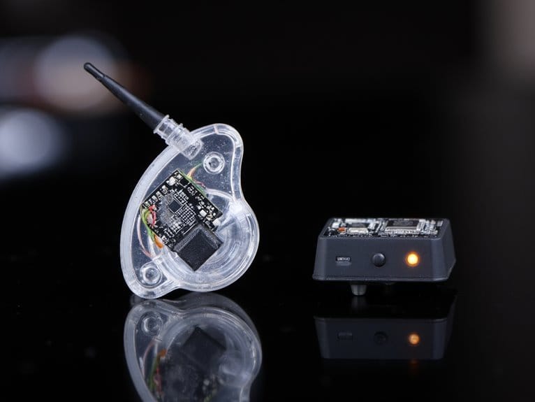 wireless audio transmission technology